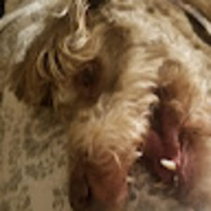 Meet your Posher, Christi